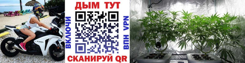 Купить Ижевск КОКАИН  Конопля  А ПВП  Гашиш  АМФЕТАМИН  Меф 