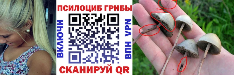 Галлюциногенные грибы Magic Shrooms  Ижевск 